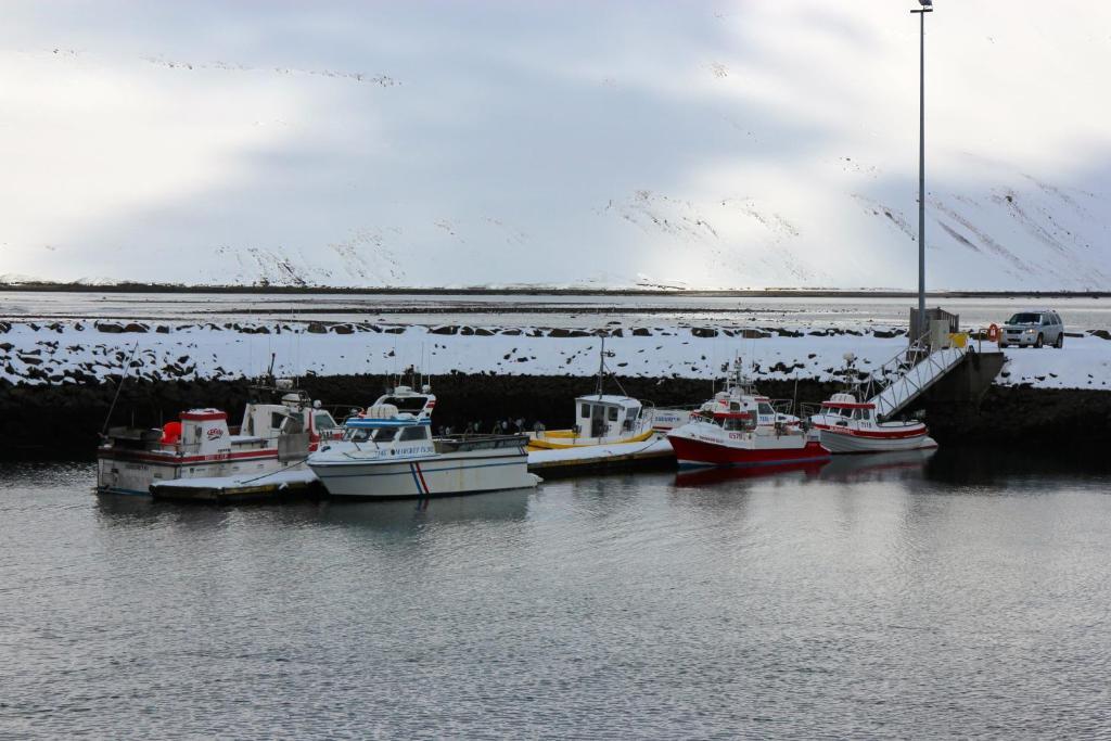 Comfy Guesthouse Westfjords Sudureyri Bagian luar foto